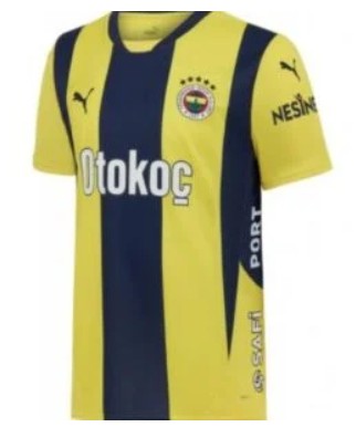 Fenerbahçe 2024/2025