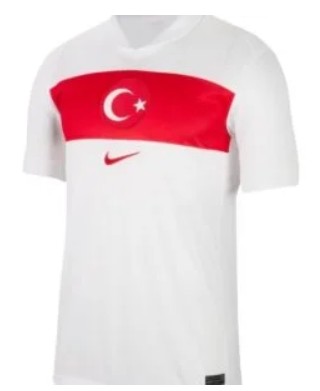 Türkiye Milli Takımı 2024/2025